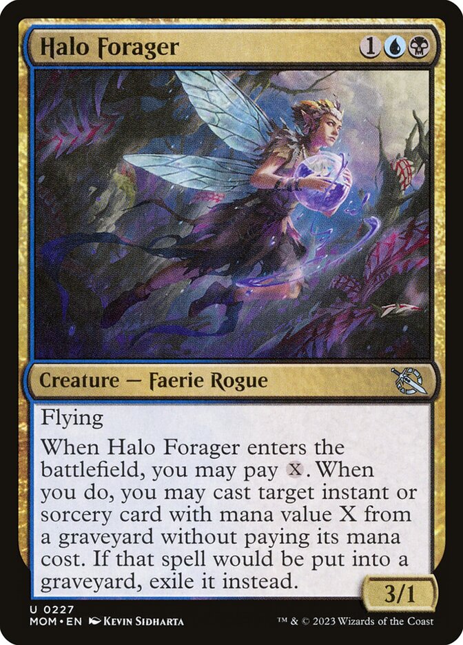 image Halo Forager