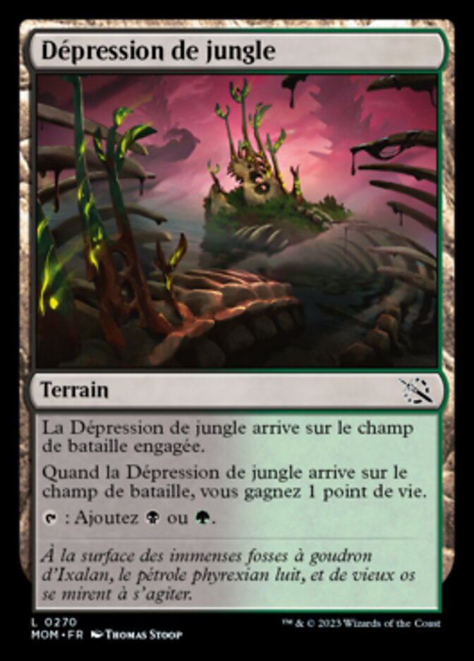 image Dépression de jungle