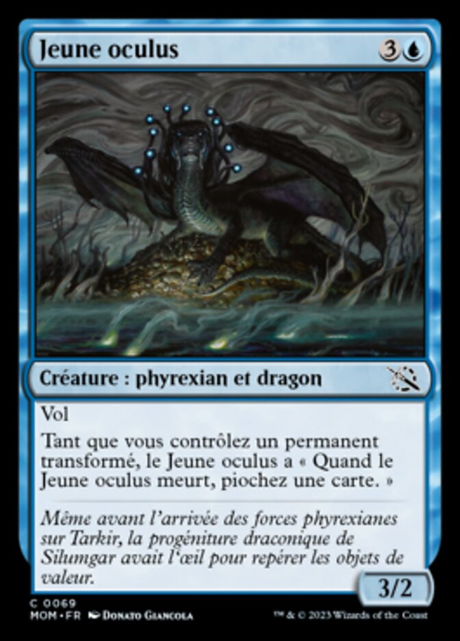 image Jeune oculus