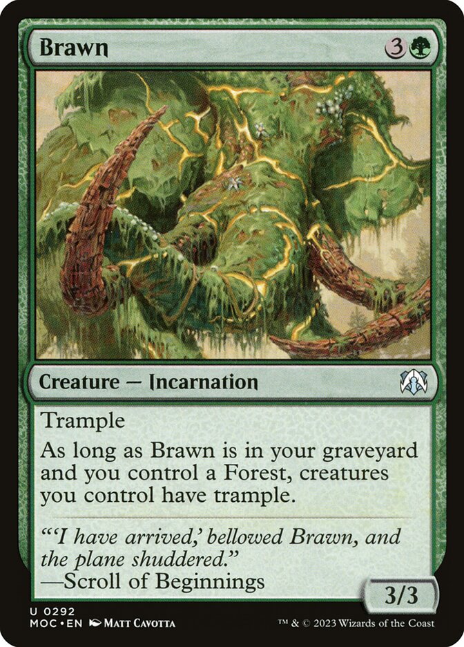image Brawn