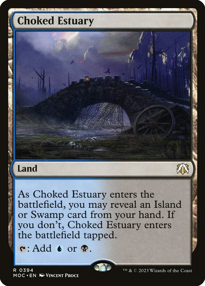 image Choked Estuary