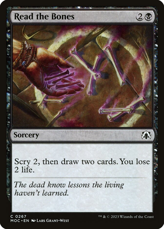 image Read the Bones