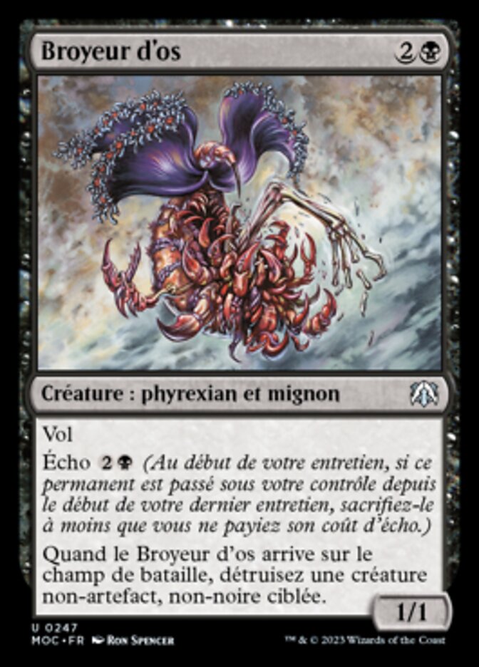 image Broyeur d'os