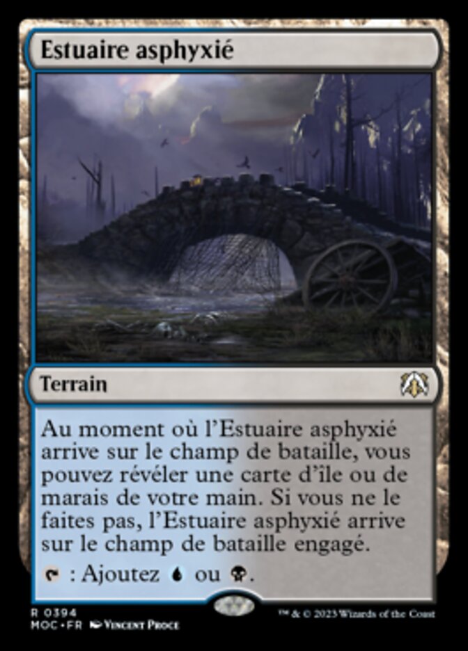 image Estuaire asphyxié