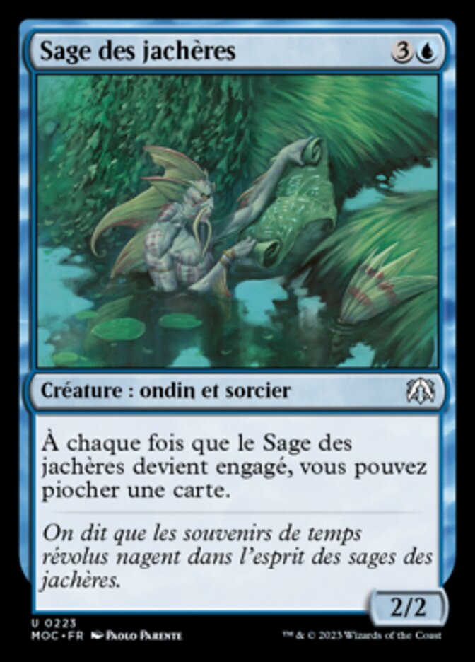 image Sage des jachères