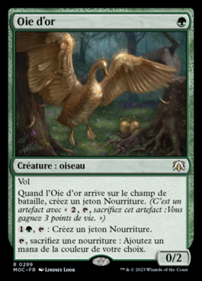 image Oie d'or