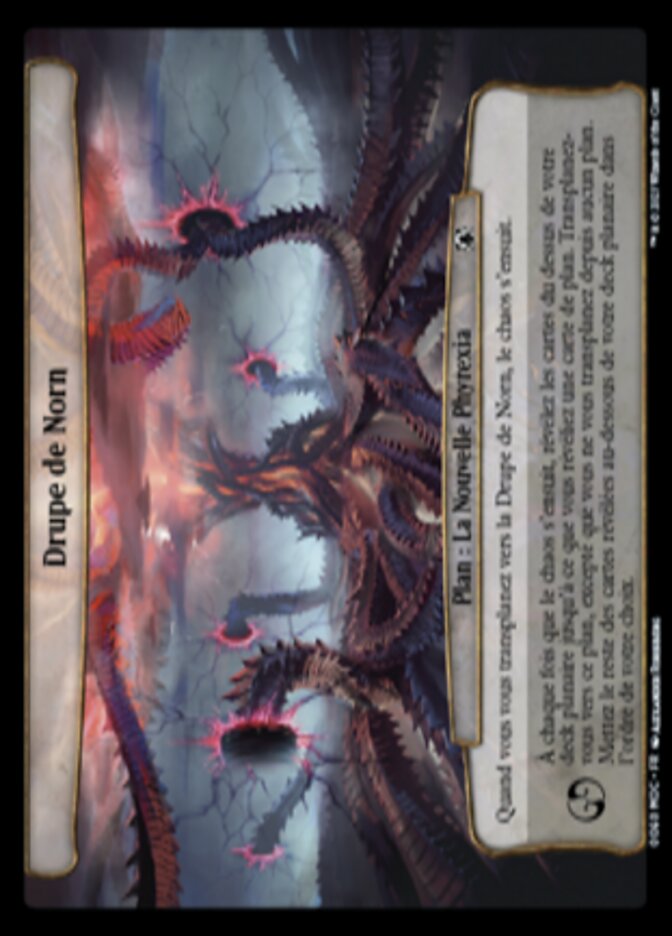 image Drupe de Norn