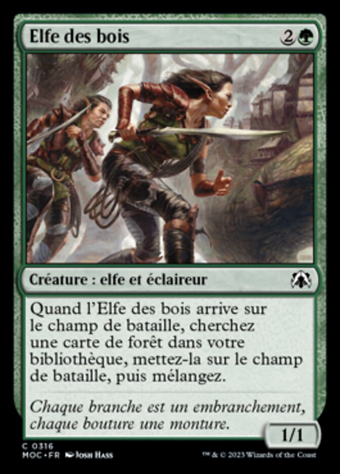 image Elfe des bois