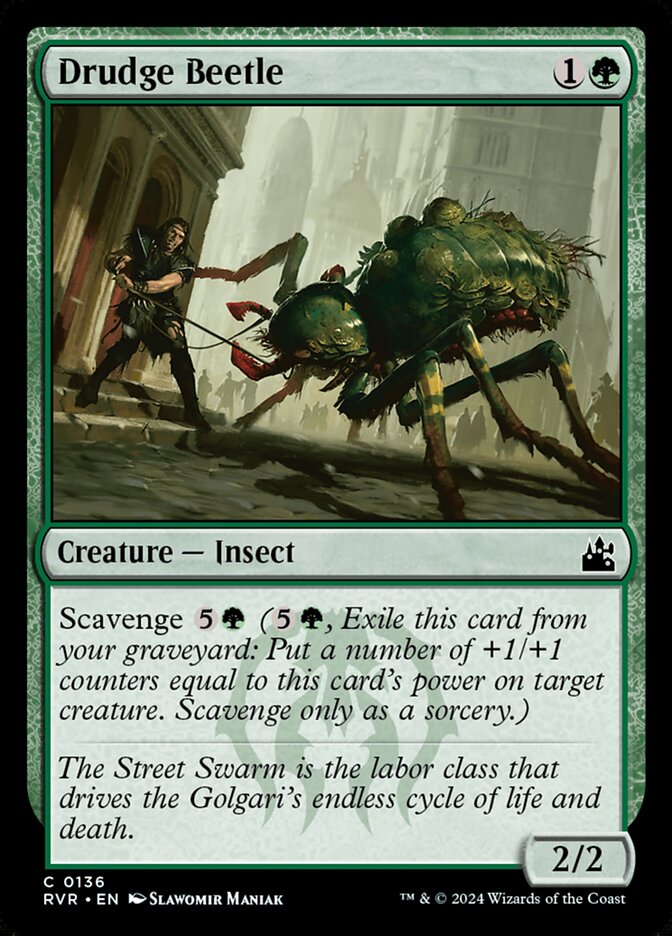 image Drudge Beetle