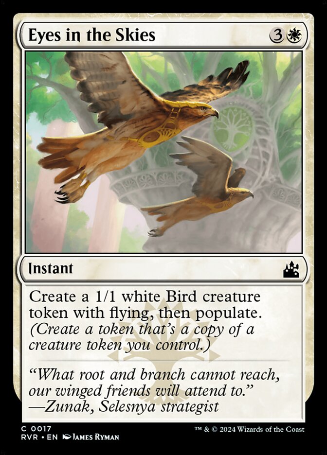 image Eyes in the Skies