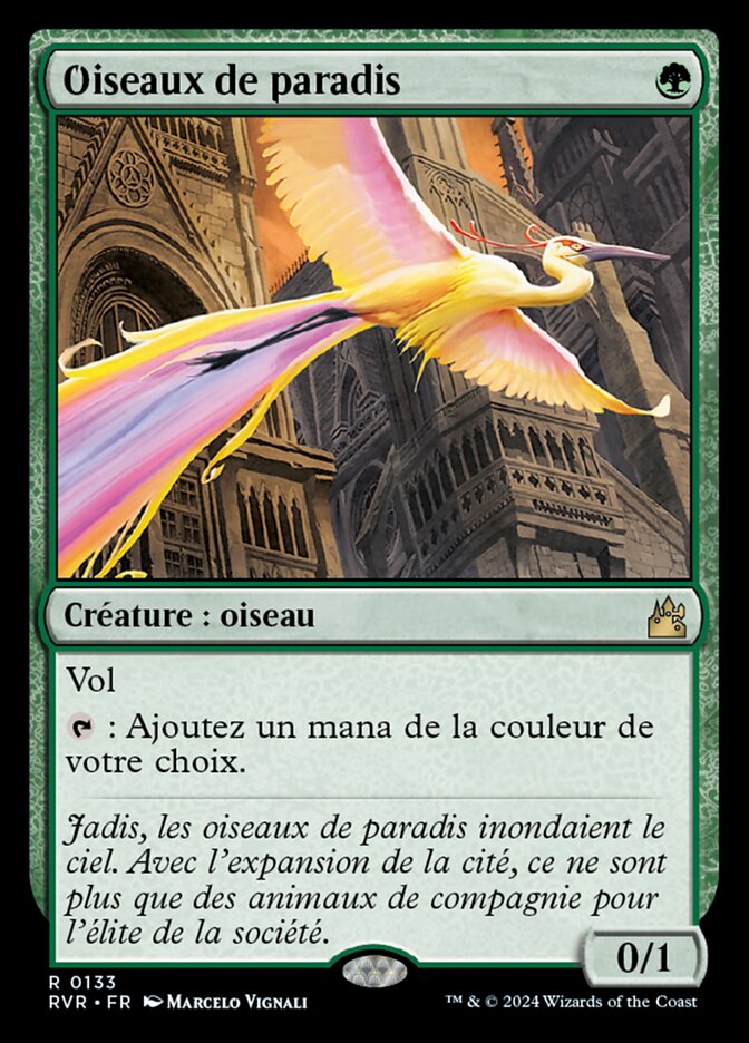 image Oiseaux de paradis