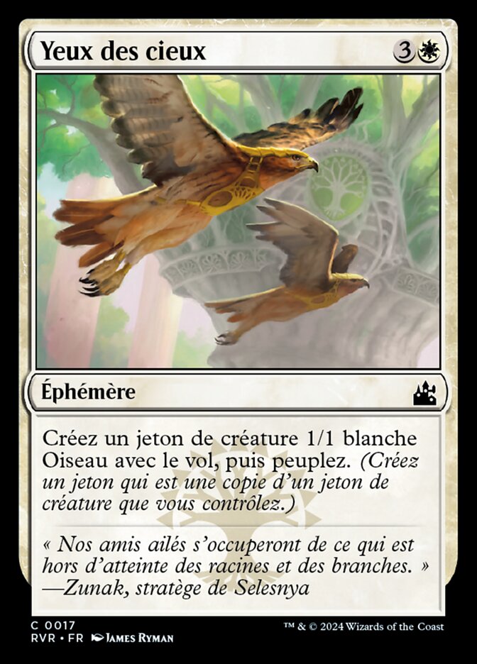 image Yeux des cieux