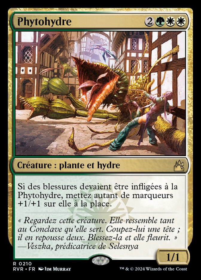 image Phytohydre