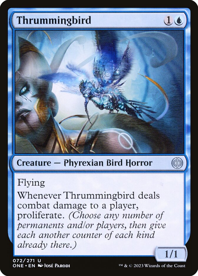image Thrummingbird