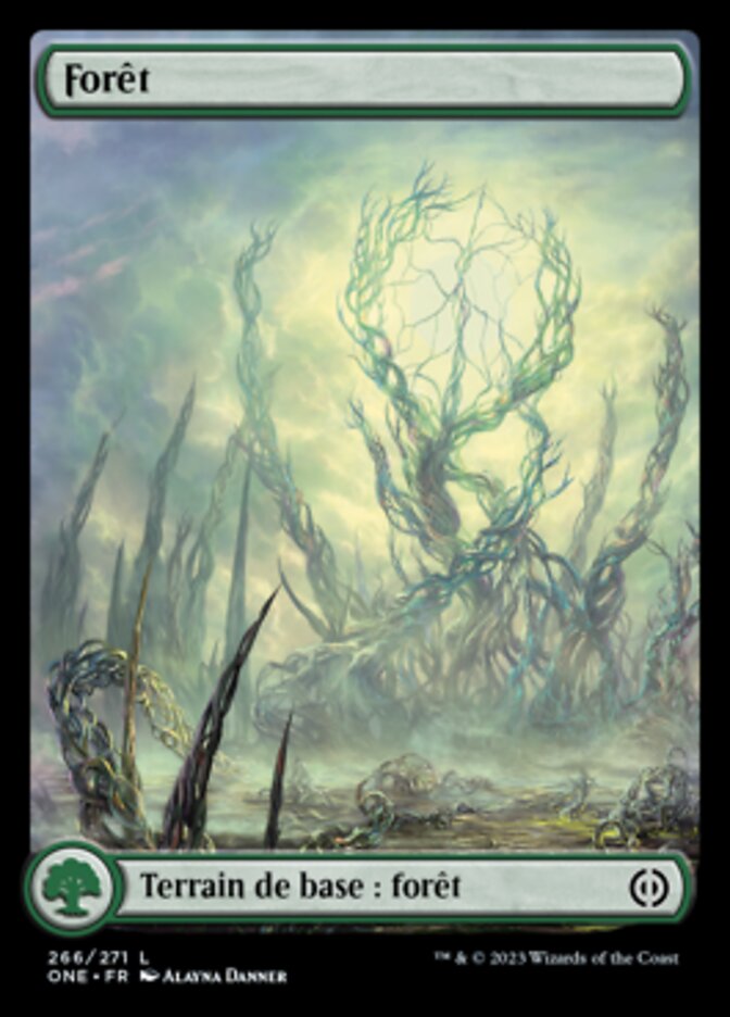 image Forêt