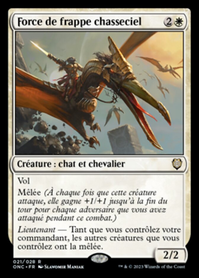 image Force de frappe chasseciel
