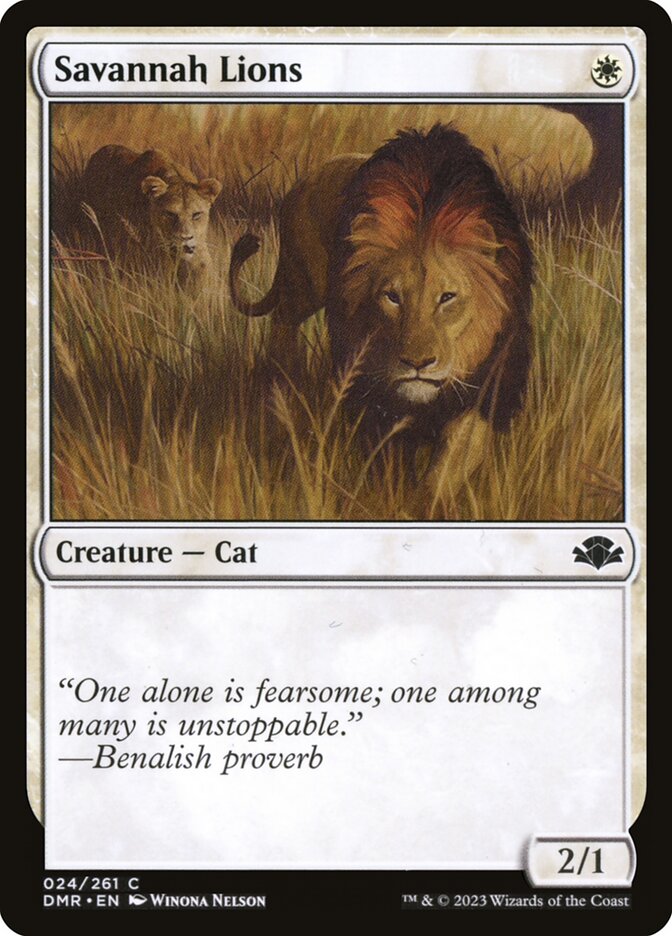image Savannah Lions