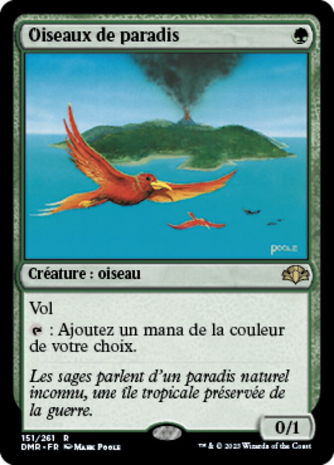 image Oiseaux de paradis