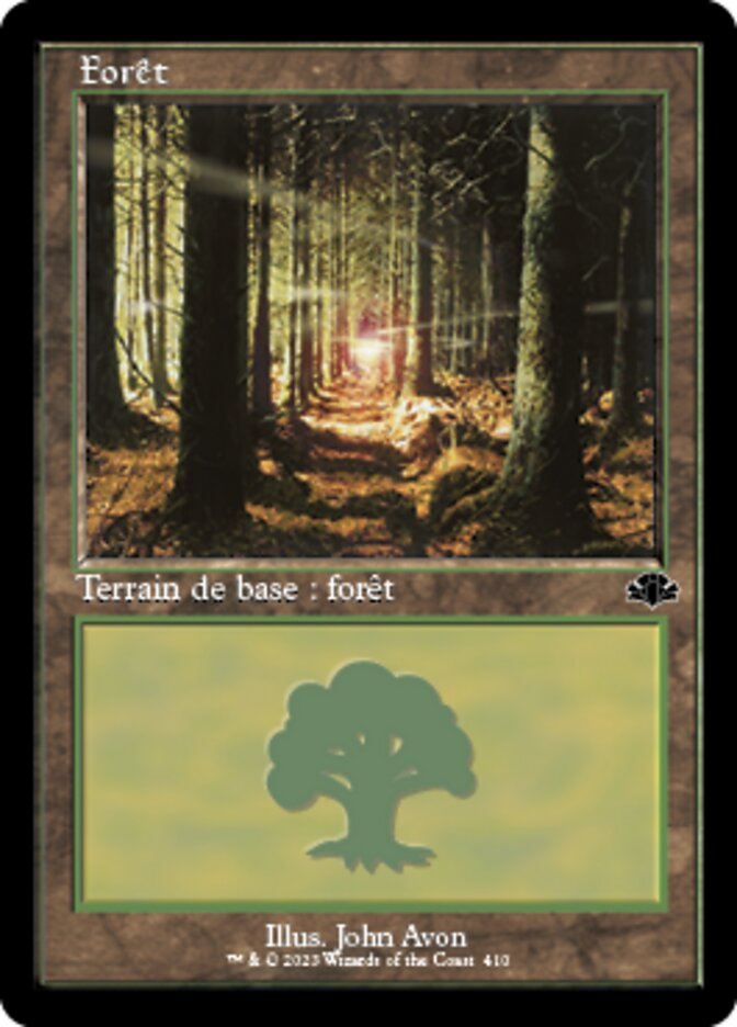 image Forêt