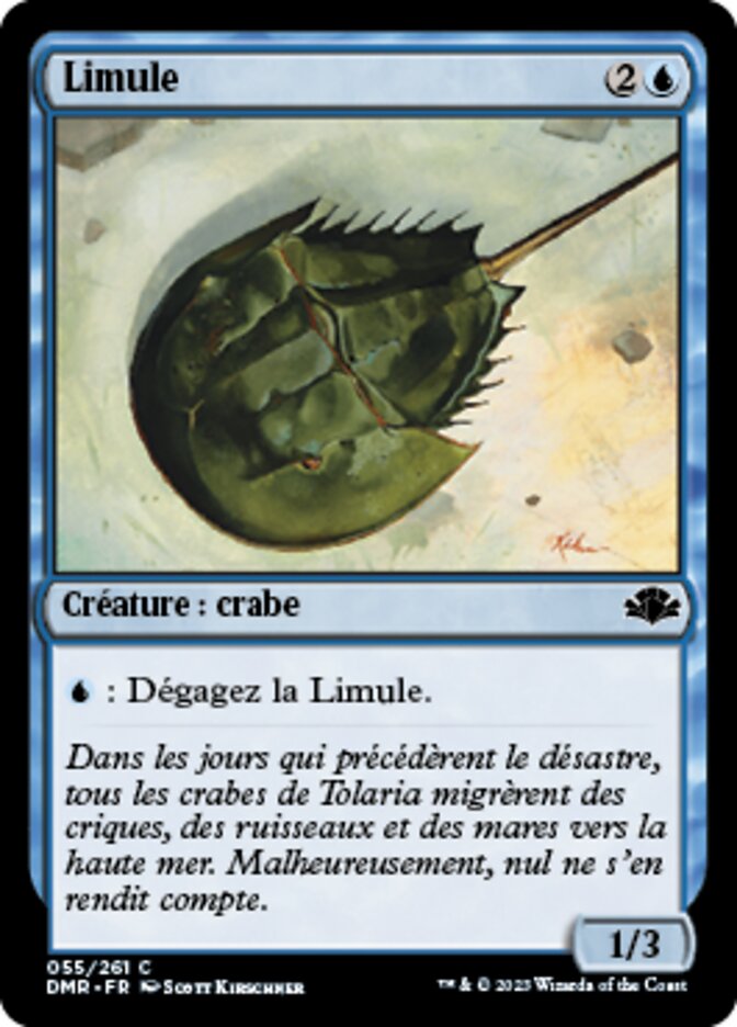 image Limule