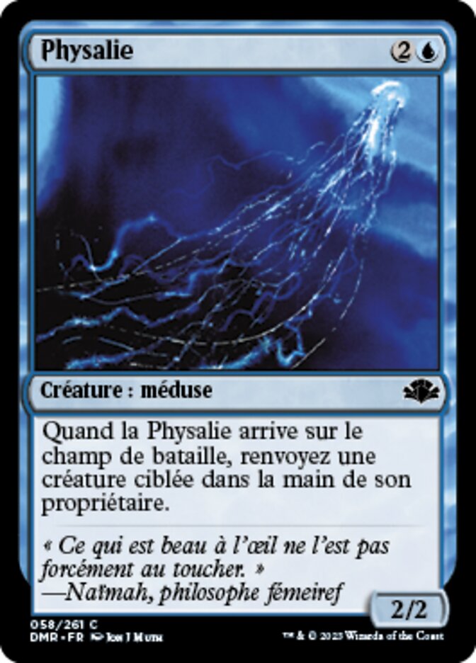 image Physalie