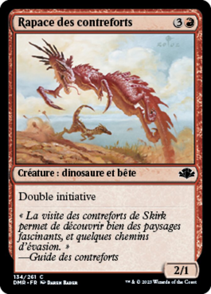 image Rapace des contreforts
