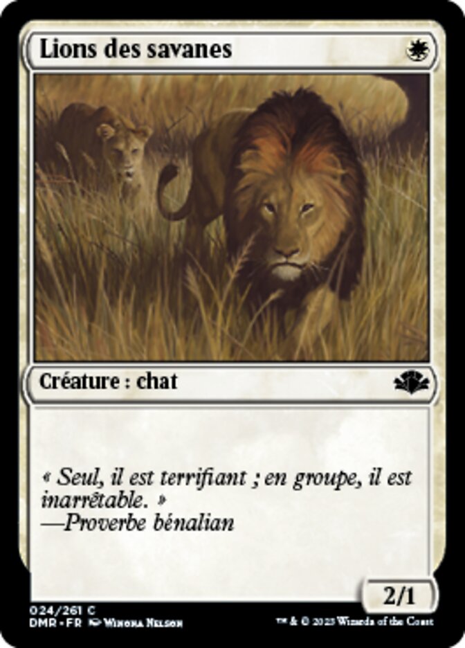 image Lions des savanes