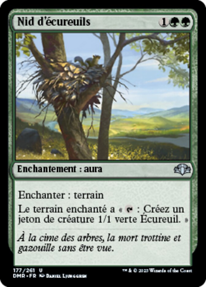 image Nid d'écureuils