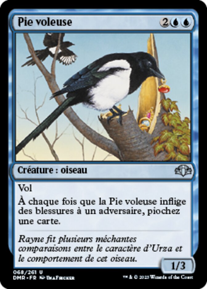 image Pie voleuse