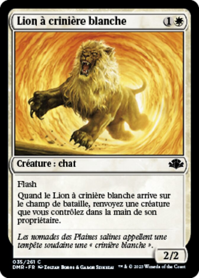 image Lion à crinière blanche