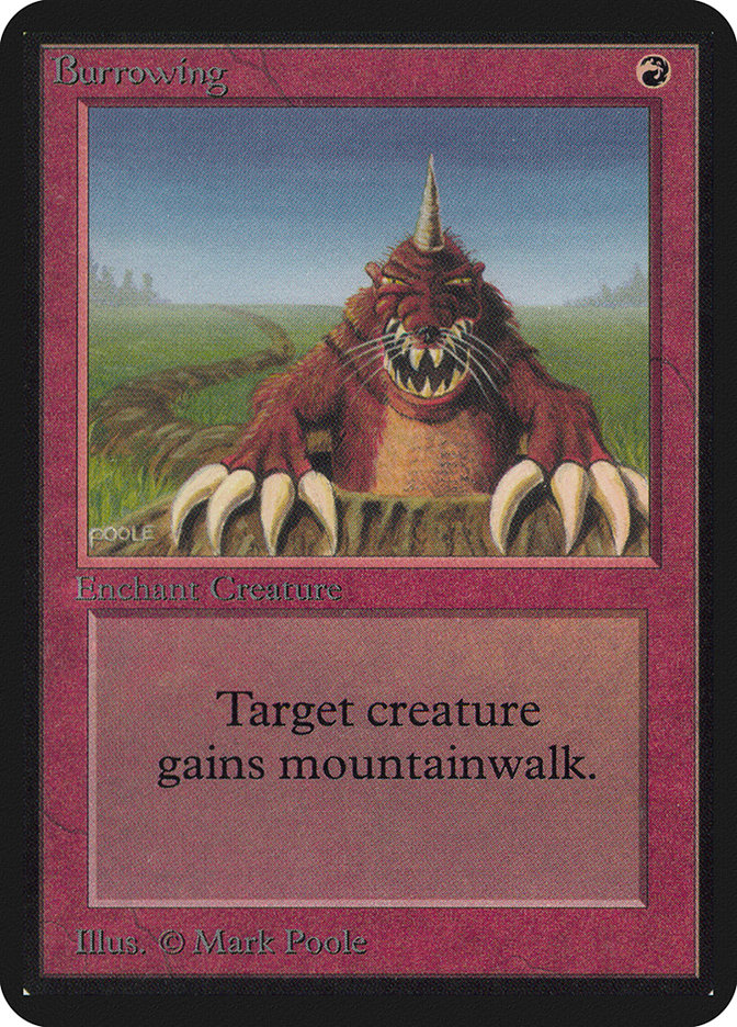 image Burrowing