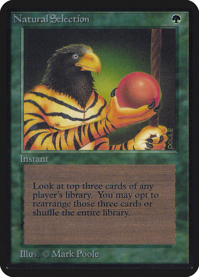 image Natural Selection