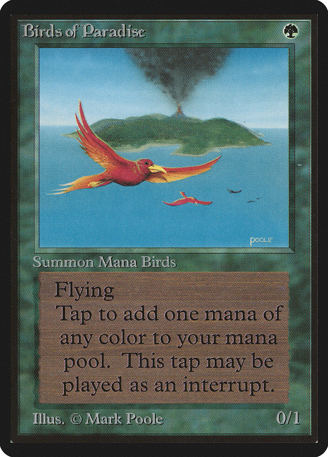 image Birds of Paradise