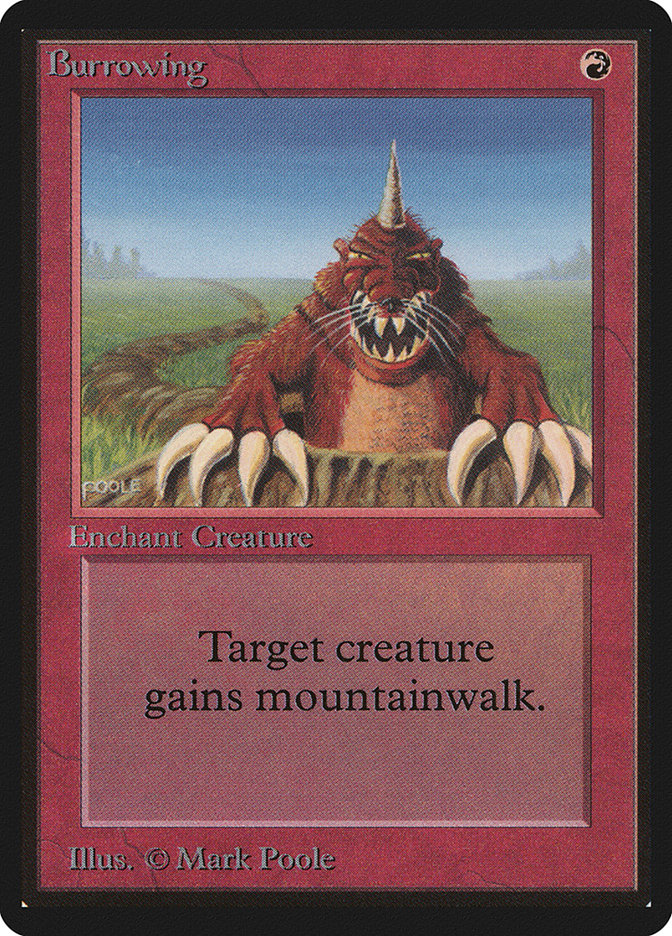 image Burrowing