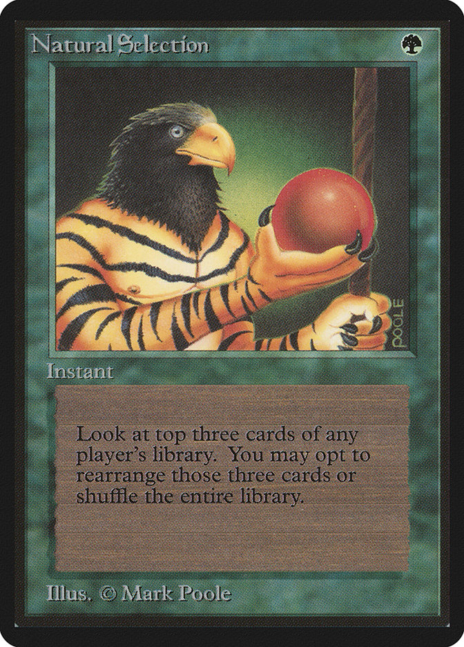 image Natural Selection