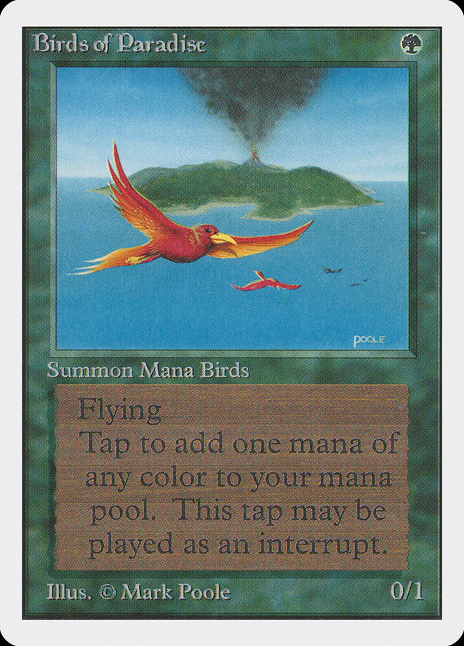 image Birds of Paradise