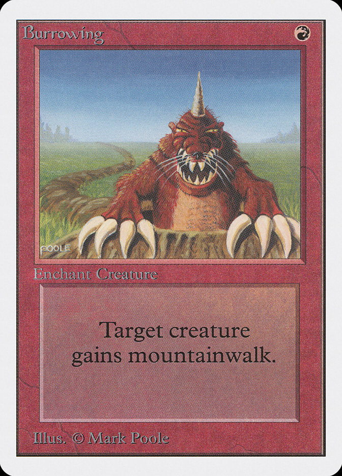 image Burrowing