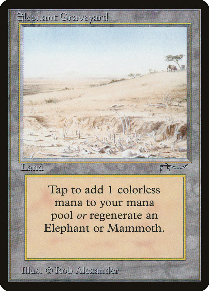 image Elephant Graveyard