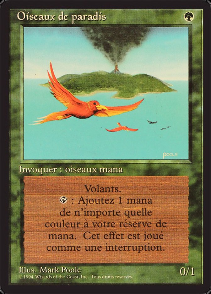 image Oiseaux de paradis