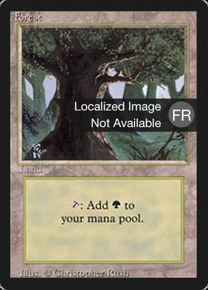 image Forêt