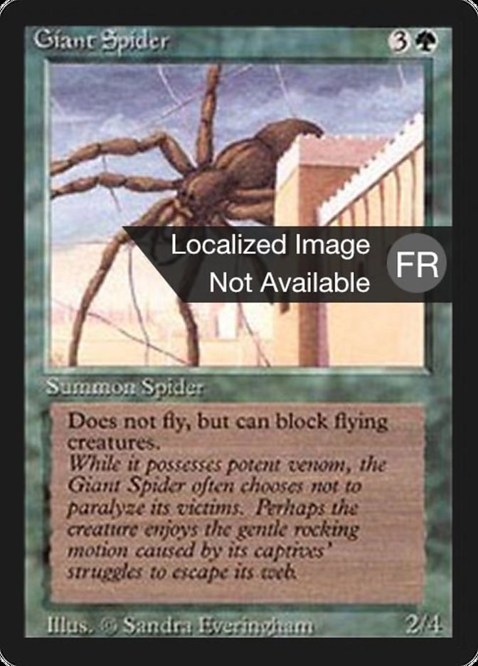 image Araignée géante