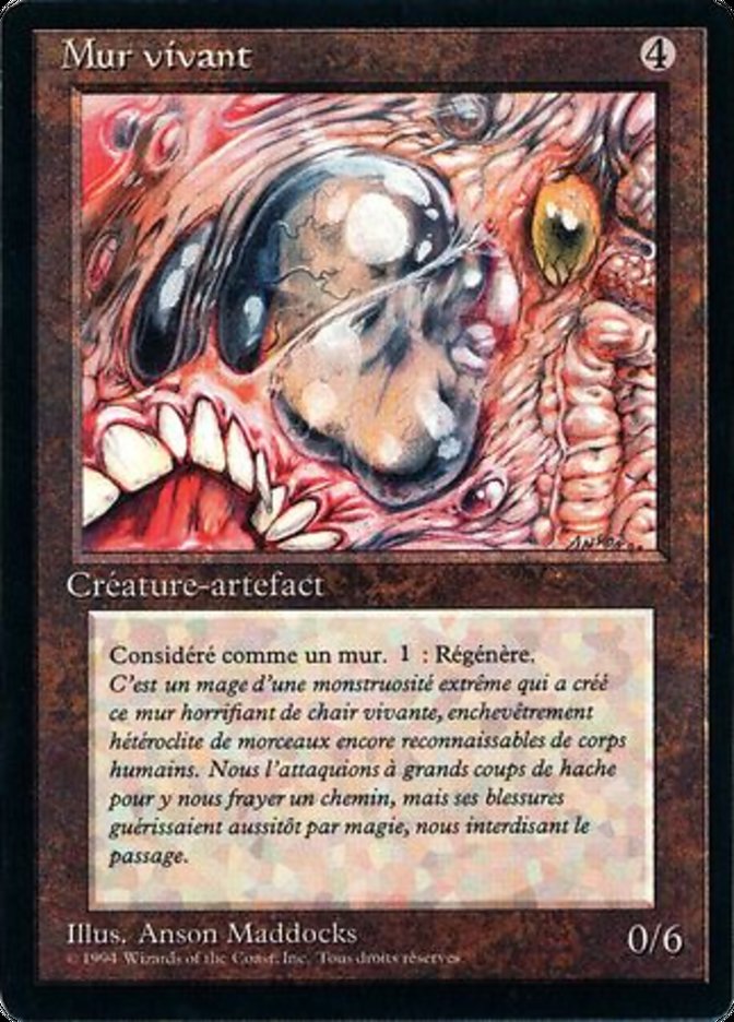 image Mur vivant