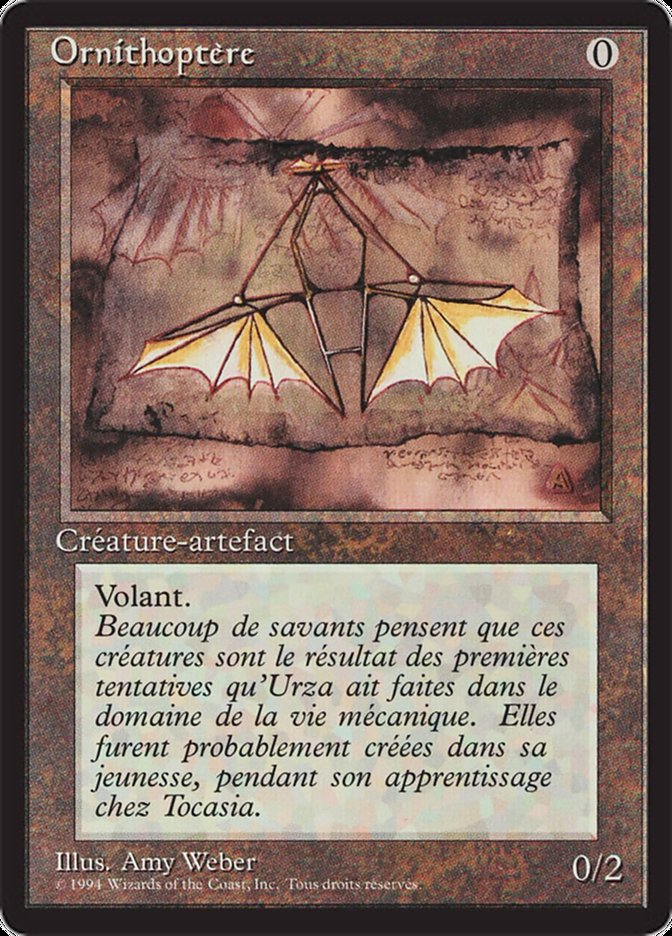 image Ornithoptère