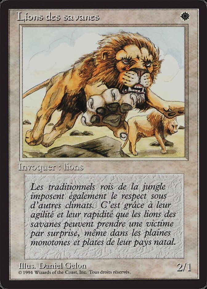 image Lions des savanes