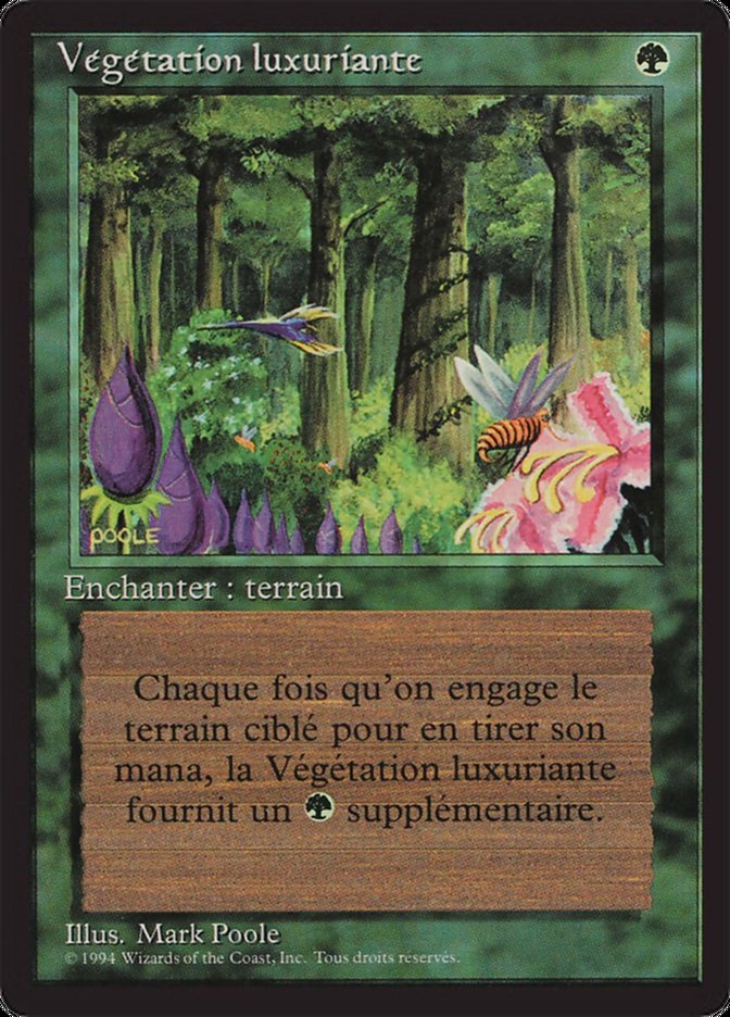 image Végétation luxuriante