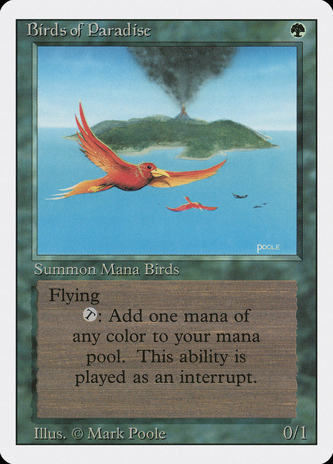 image Birds of Paradise
