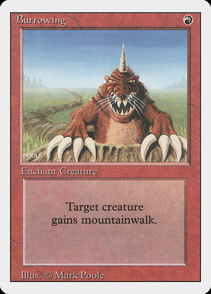 image Burrowing