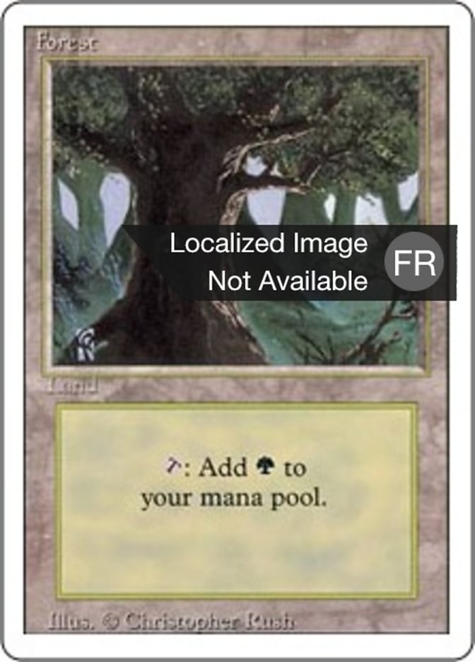 image Forêt