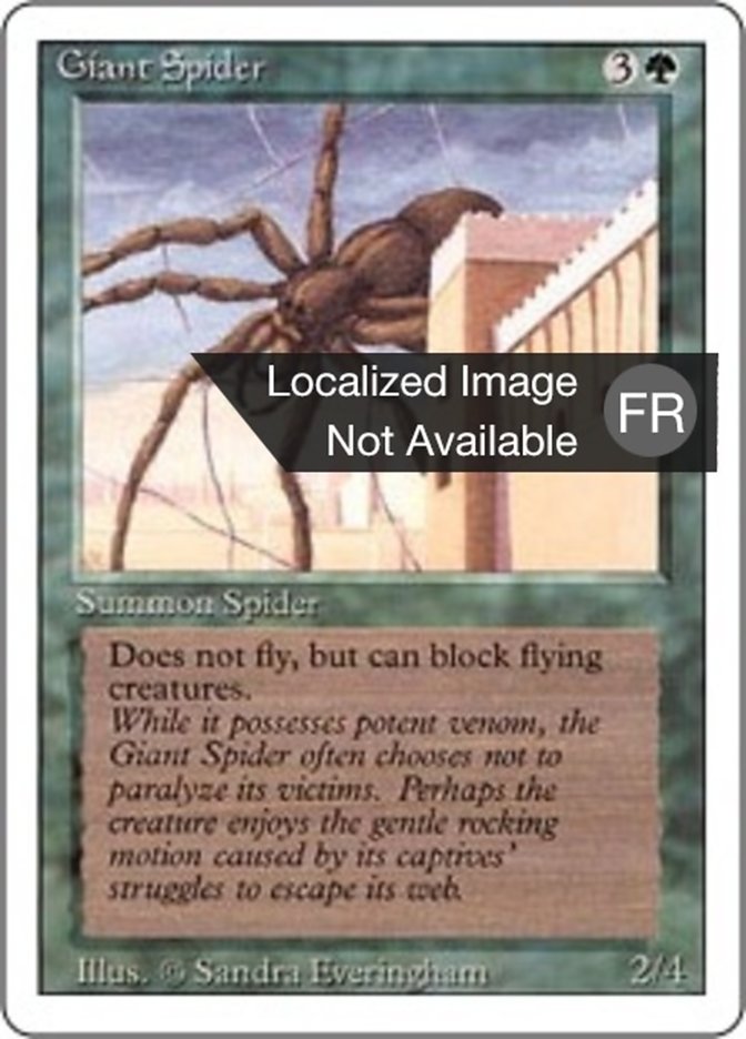 image Araignée géante