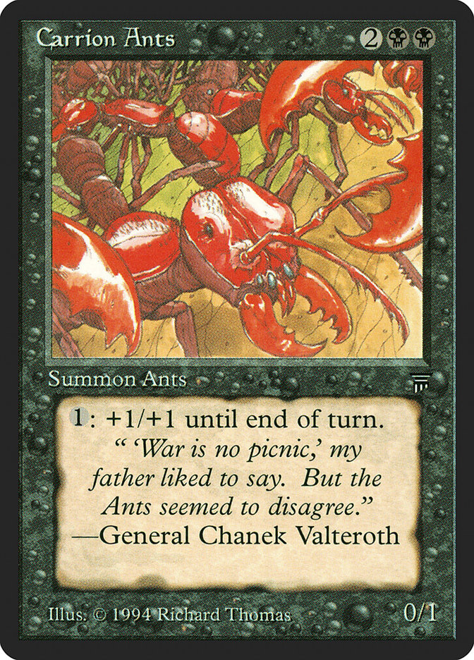 image Carrion Ants